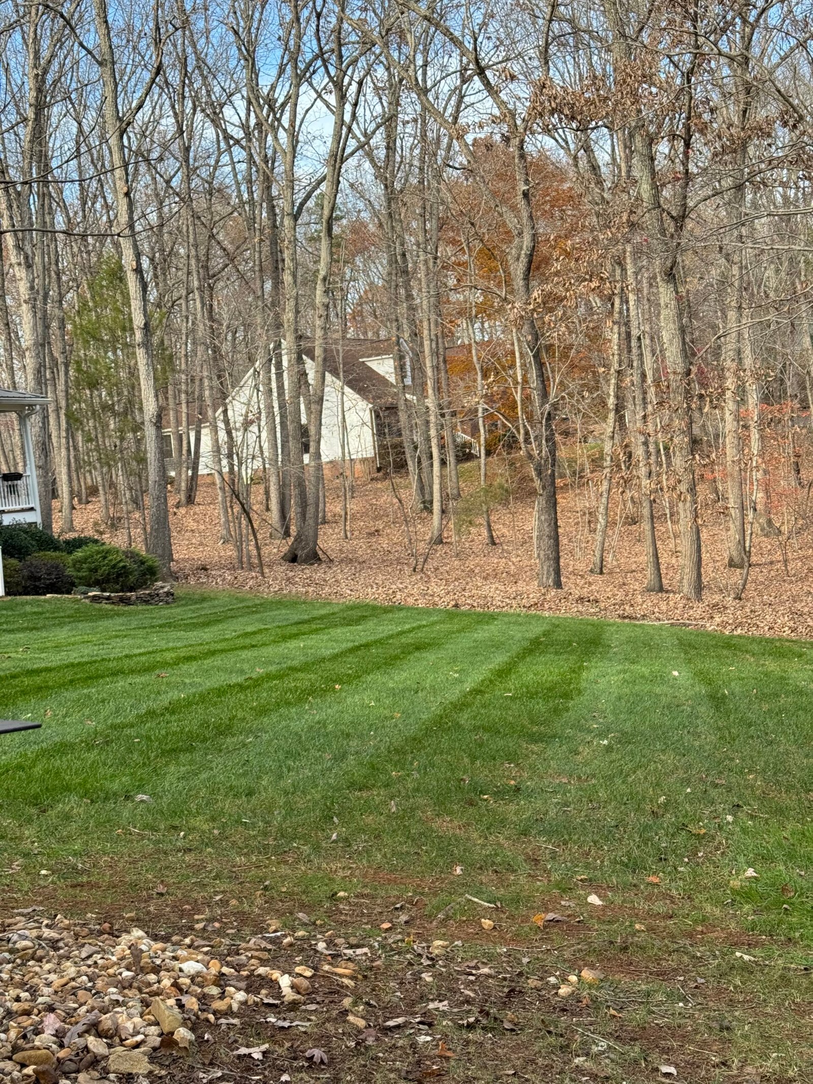 Professional lawn maintenance service in Hillsborough NC