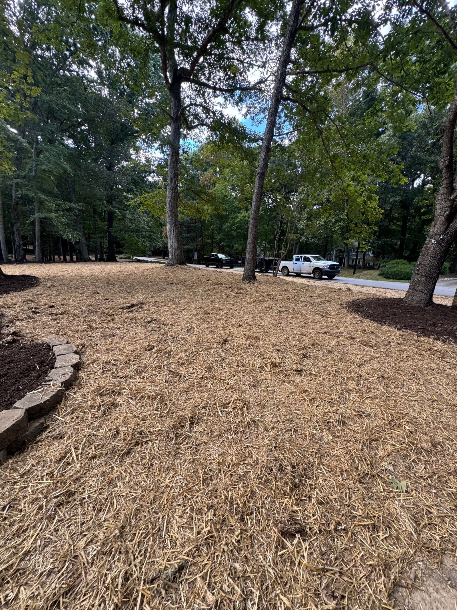 Landscaping RMZ
