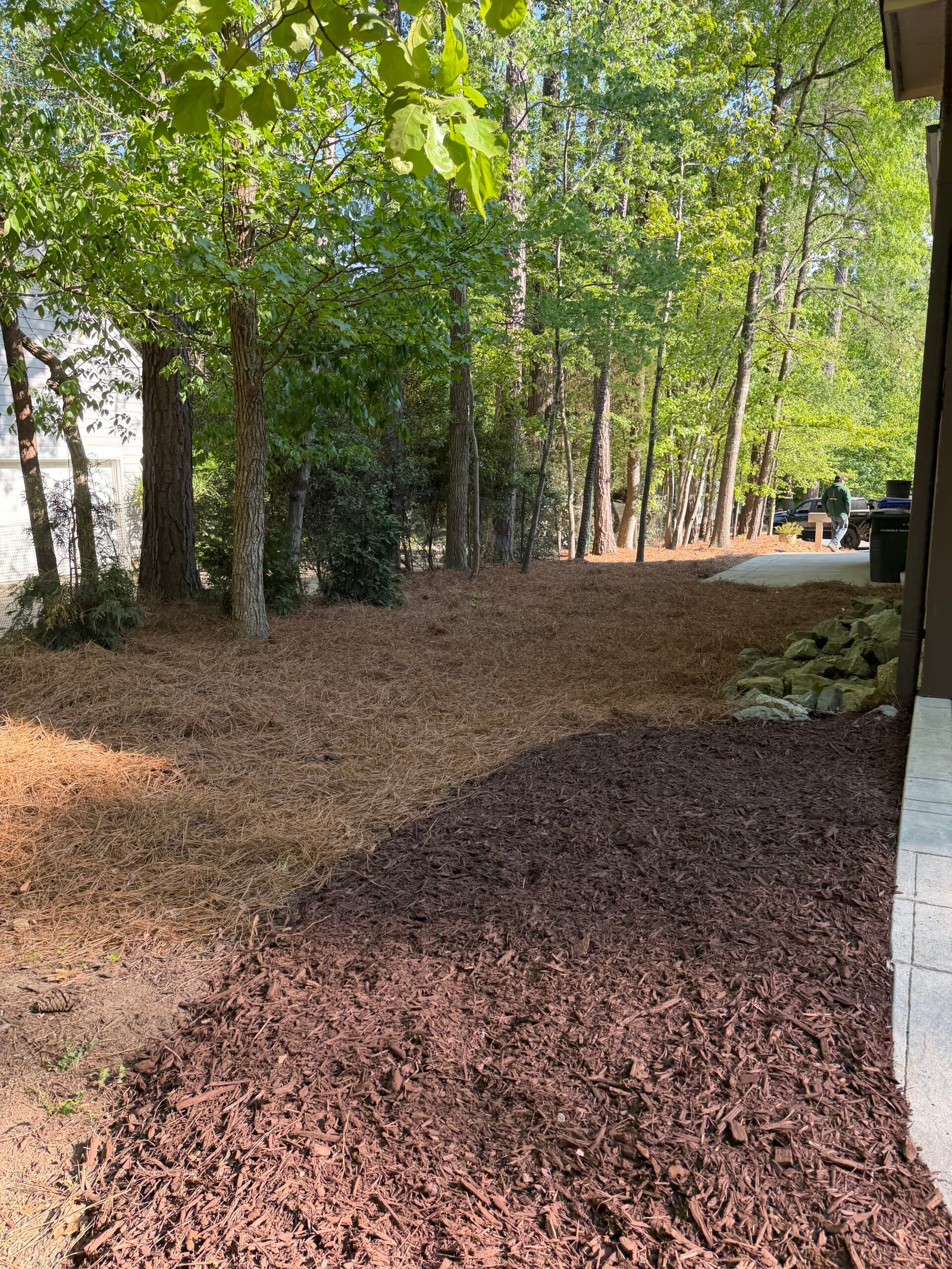 Landscaping RMZ